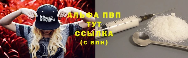 ПСИЛОЦИБИНОВЫЕ ГРИБЫ Майский
