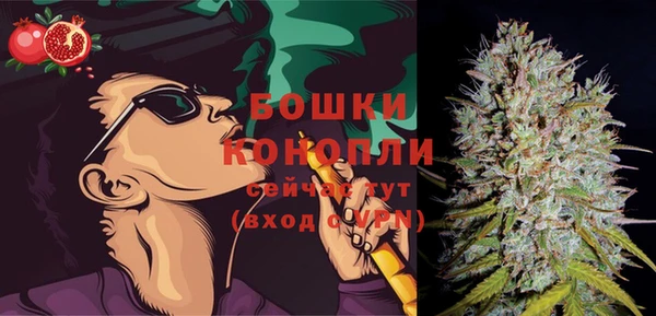 ПСИЛОЦИБИНОВЫЕ ГРИБЫ Майский