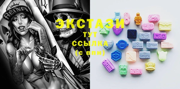 apvp Магас