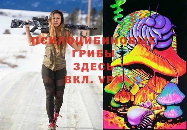 ПСИЛОЦИБИНОВЫЕ ГРИБЫ Майский