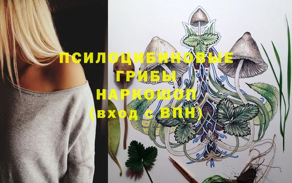 мет Весьегонск
