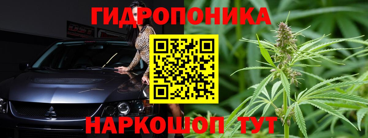 Конопля MAZAR Майский
